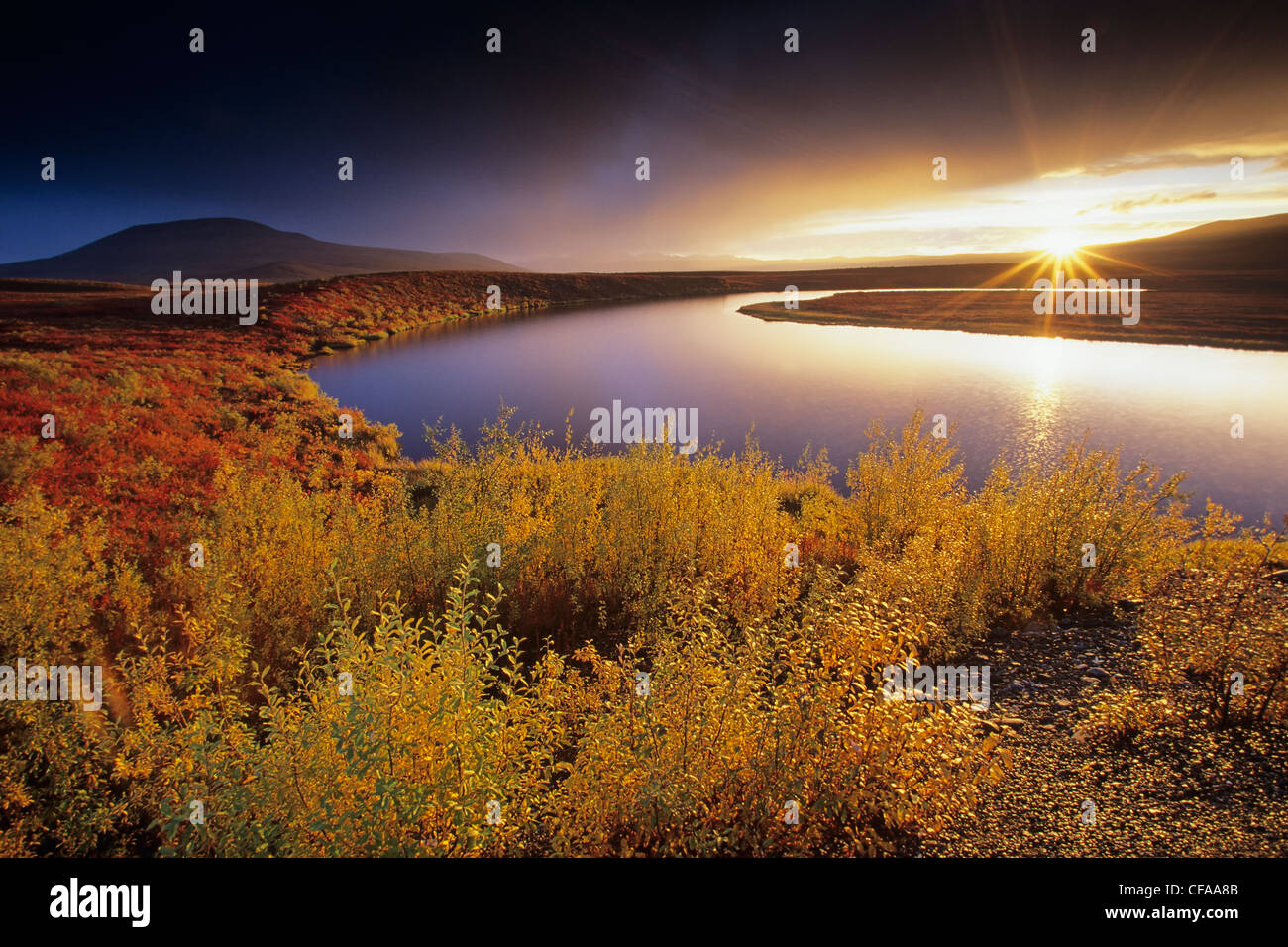 Unnamed pond and autumn colors in Blackstone Uplands near Dempster Highway, Yukon , Canada. Stock Photo
