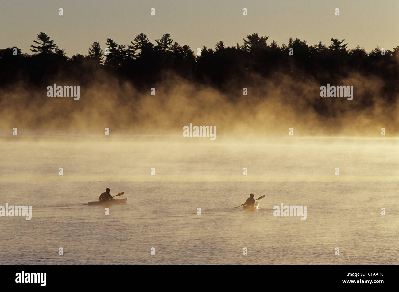 Young couple seakayaking on Lake Rosseau, Muskoka, Ontario, Canada