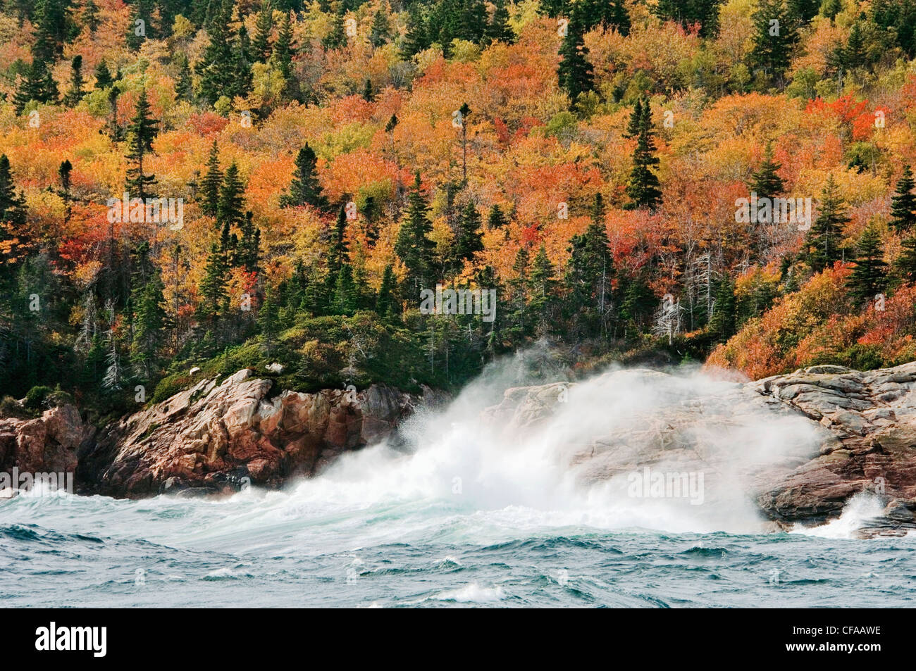 Atlantic Ocean storm waves and fall foliage along Neils Harbour, Cape Breton Highlands National Park, Nova Scotia, Canada. Stock Photo