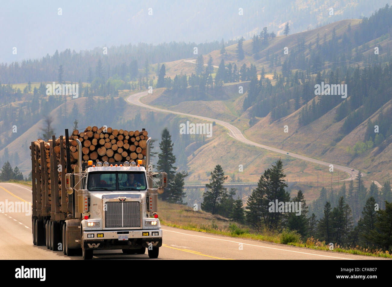 Logging truck loaded logs lingering forest fire Stock Photo