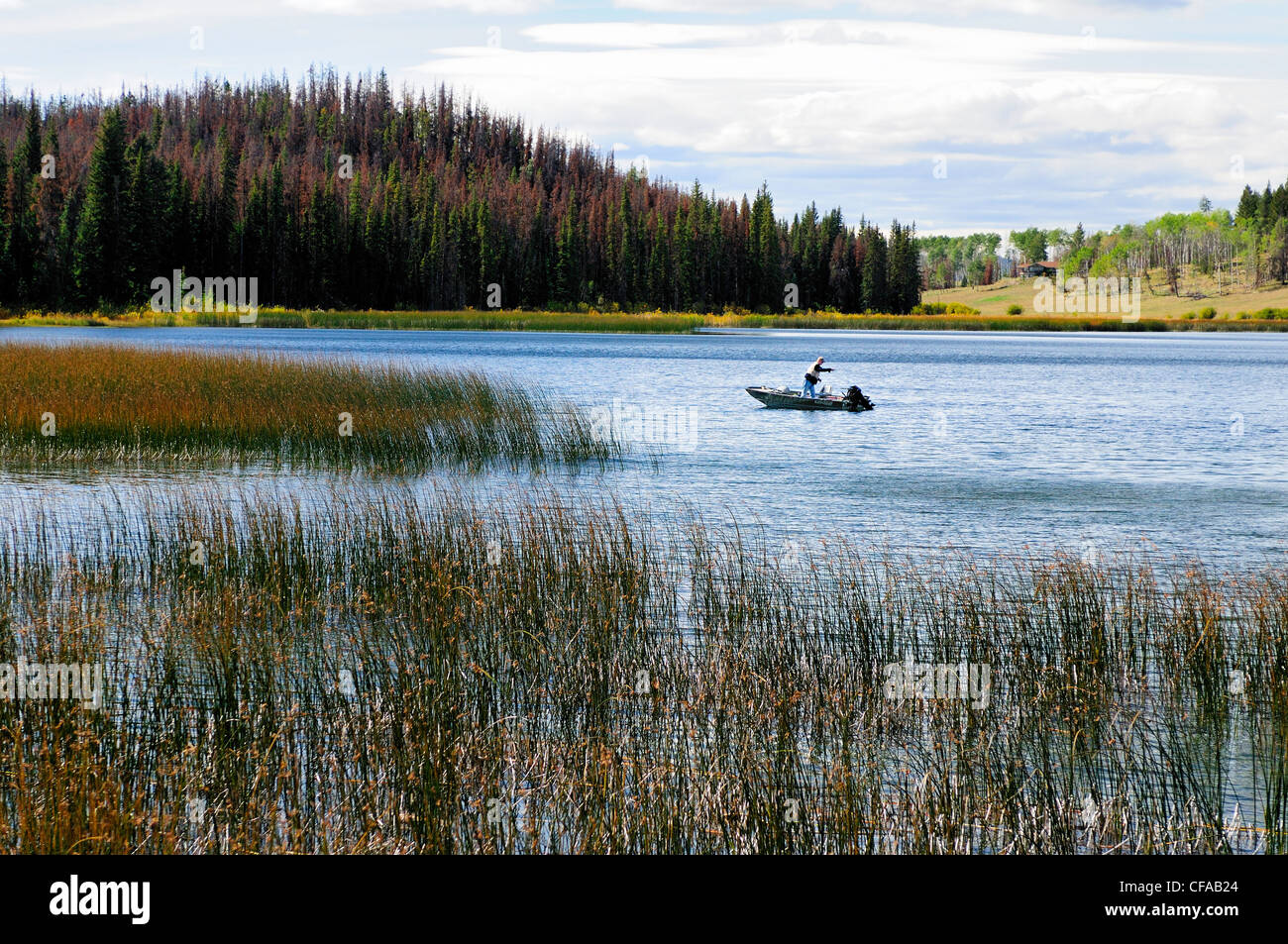 Fly fisherman netting a fish while standing in a boat on Lac Le Jeune