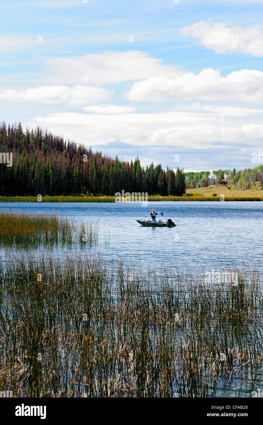 Fly fisherman netting a fish while standing in a boat on Lac Le Jeune near Kamloops, British Fly fisherman netting a fish while standing in a boat on Lac Le Jeune near Kamloops, British