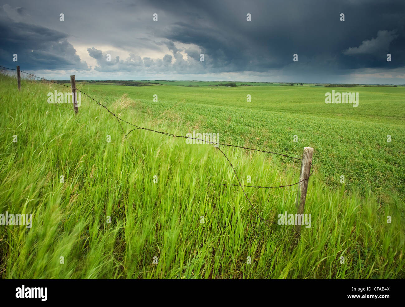 Fence and passing storm near Llyodminister, Alberta, Canada. Stock Photo