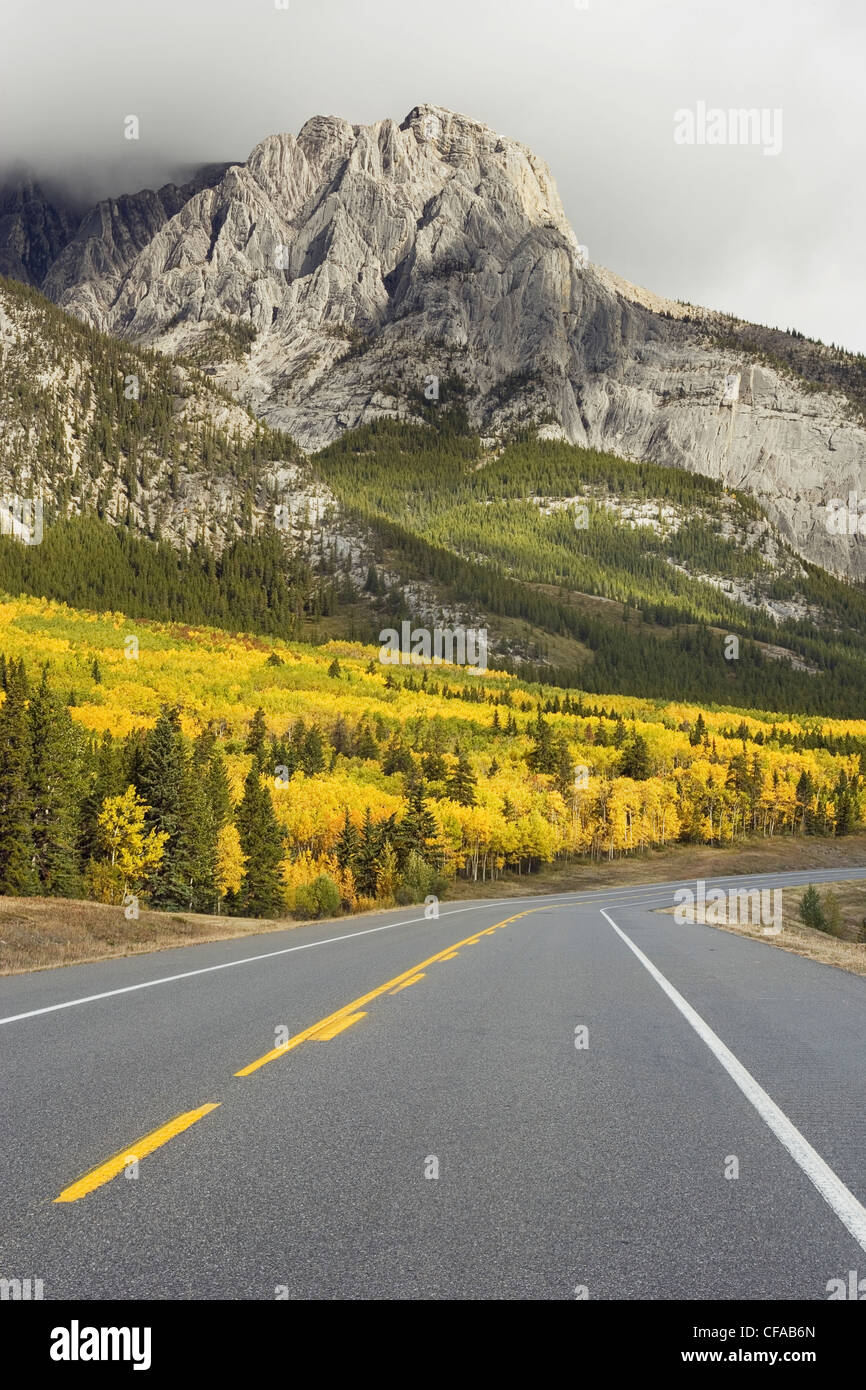 David Thompson Highway at Mount Abraham, Kootenay Plains, Alberta, Canada. Stock Photo