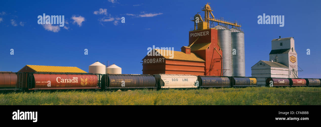 Grain Elevator and grain processing station at Robsart Saskatchewan
