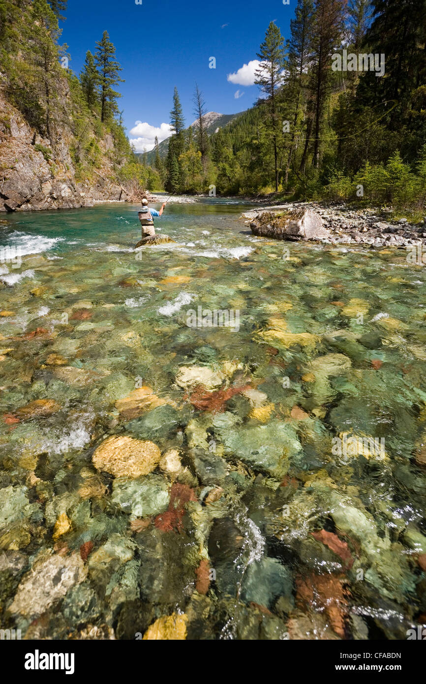 Flyfishing on tributary of Elk River near Fernie, Elk Valley, East Kootenays, British Columbia Flyfishing on tributary of Elk River near Fernie, Elk Valley, East Kootenays, British Columbia