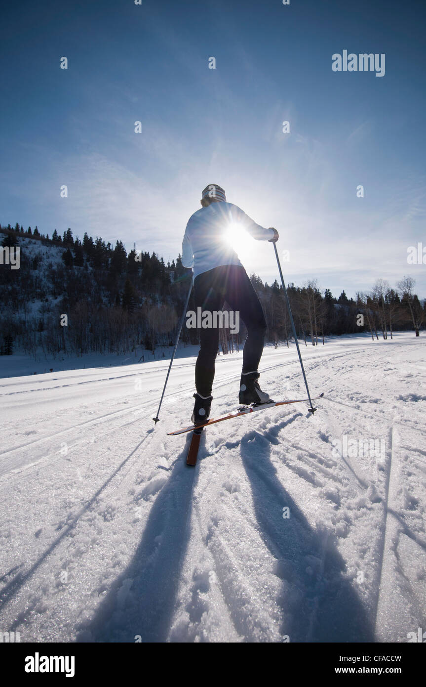 Cross country skier on snowy field Stock Photo Alamy