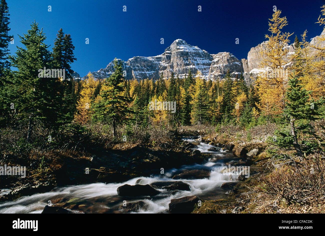 Paradise Valley Banff National Park High Resolution Stock Photography