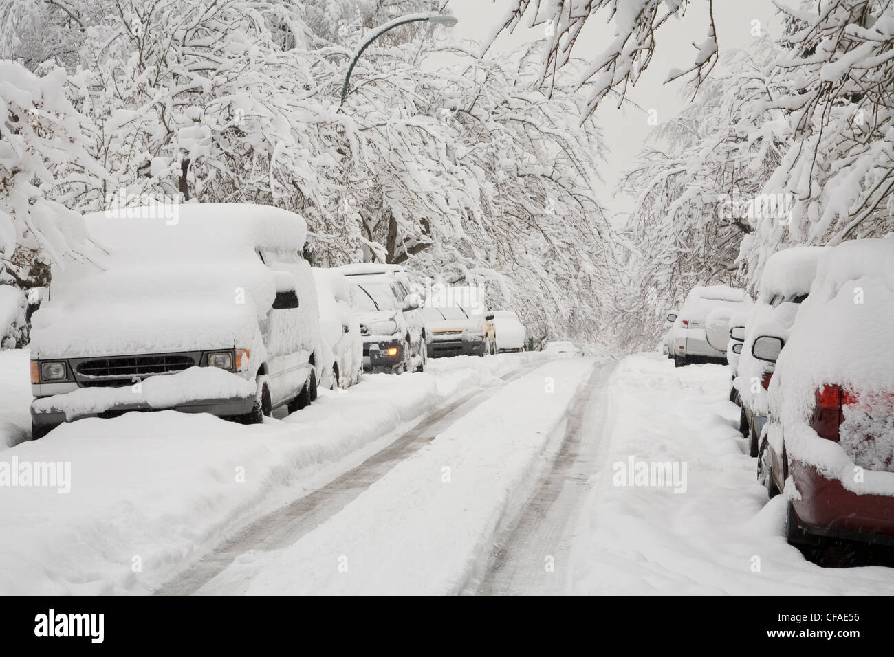 Cars Trees And Street Covered In Snow After An Early Winter Snowstorm Point Grey Vancouver 