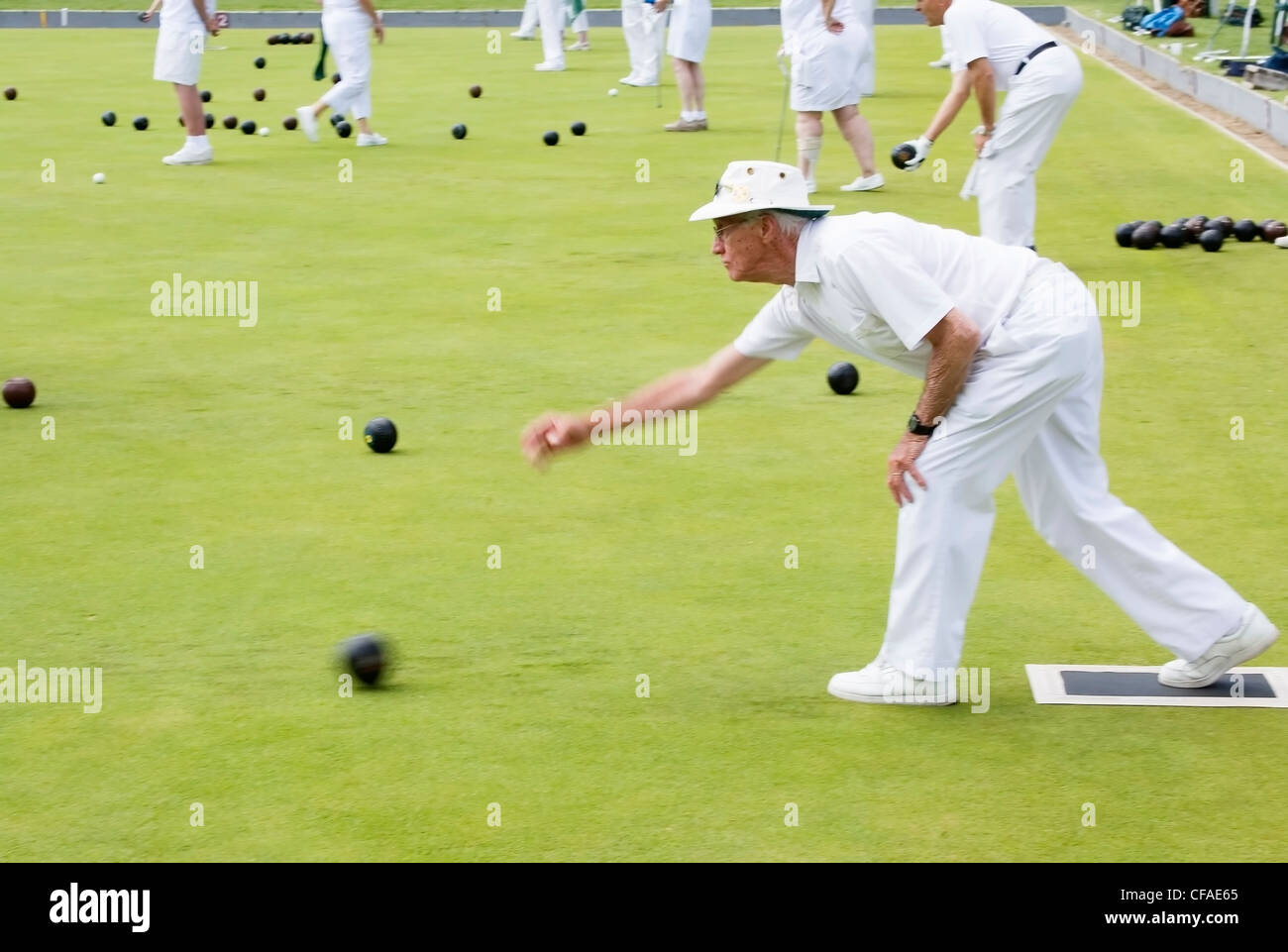 senior citizens lawn bowling, Calgary, Alberta, Canada Stock Photo Alamy