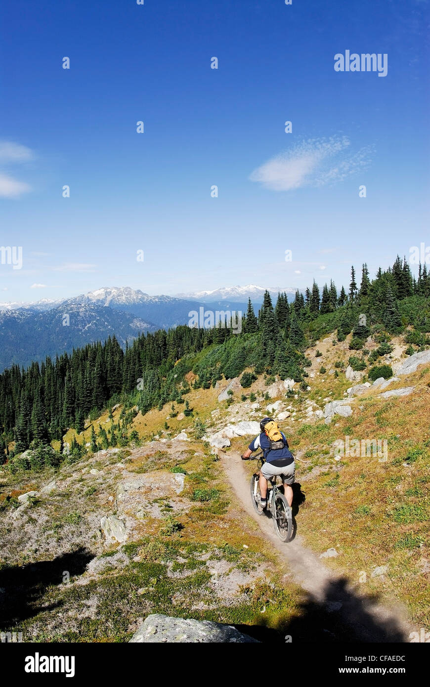 Mountain Biker begins the descent to Khyber Pass. Whistler, British