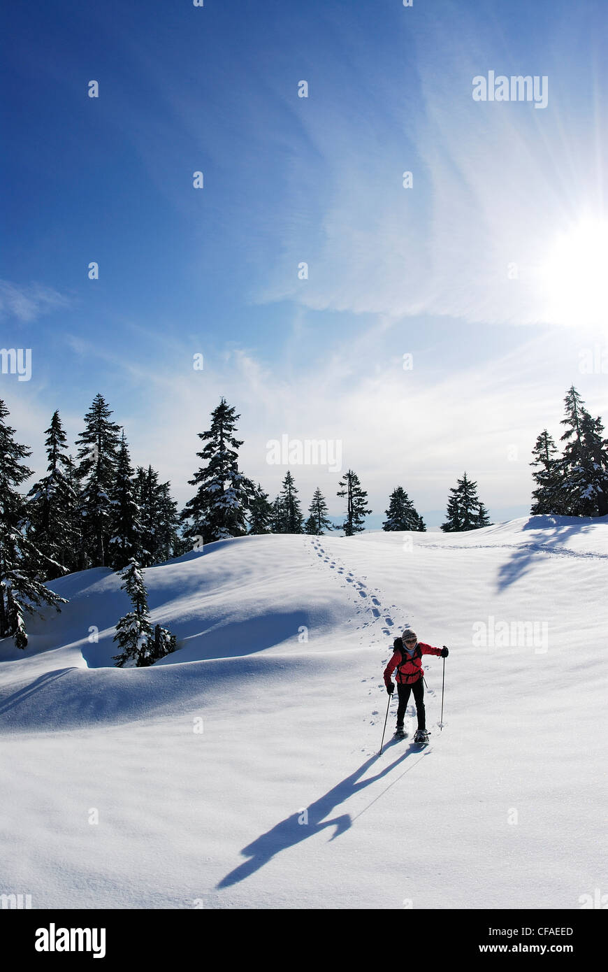 Snowshoeing on Hollyburn Mountain, Cypress Provincial Park, West