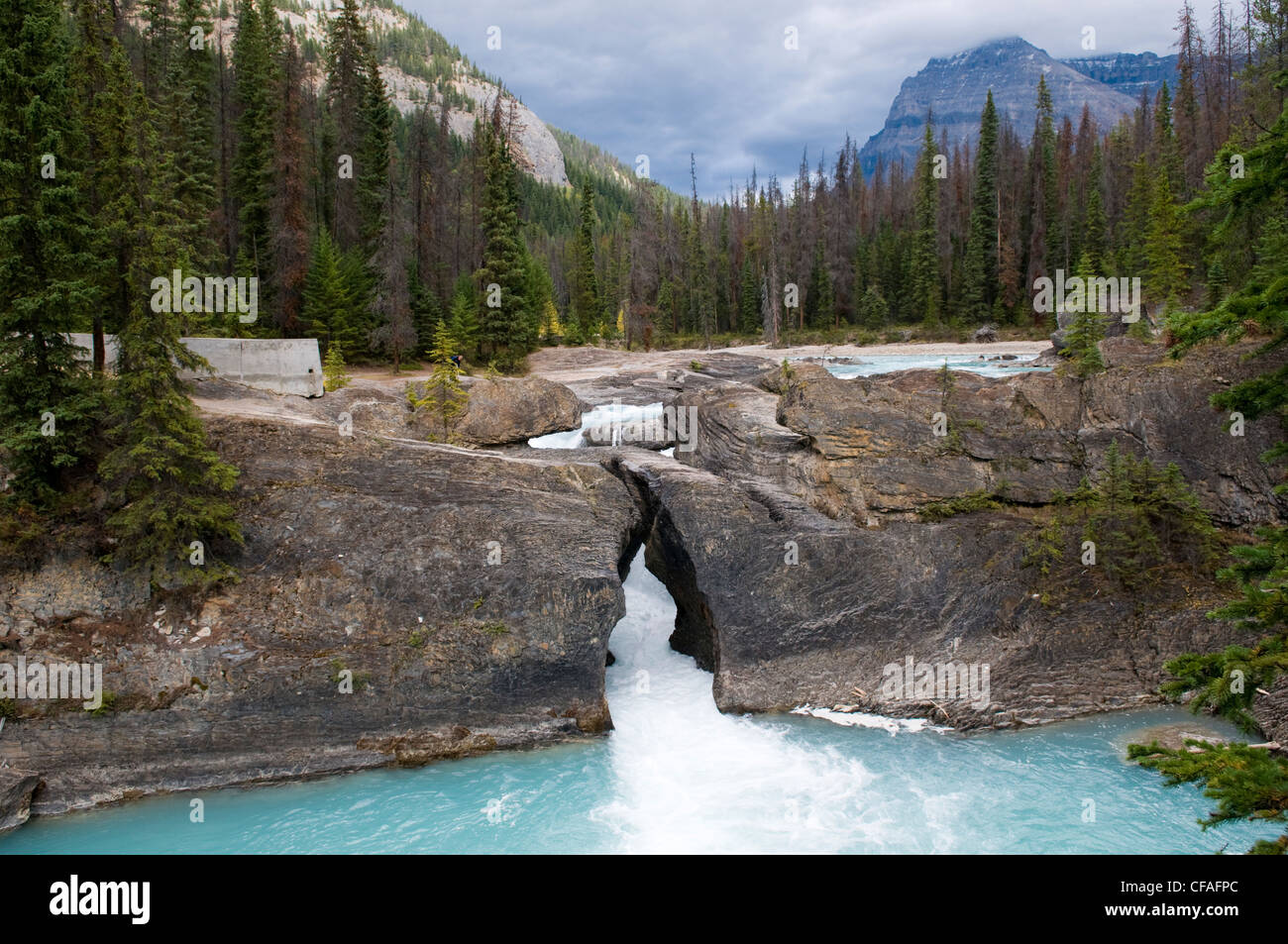 Natural Bridge, Yoho National Park, British Columbia, Canada Stock