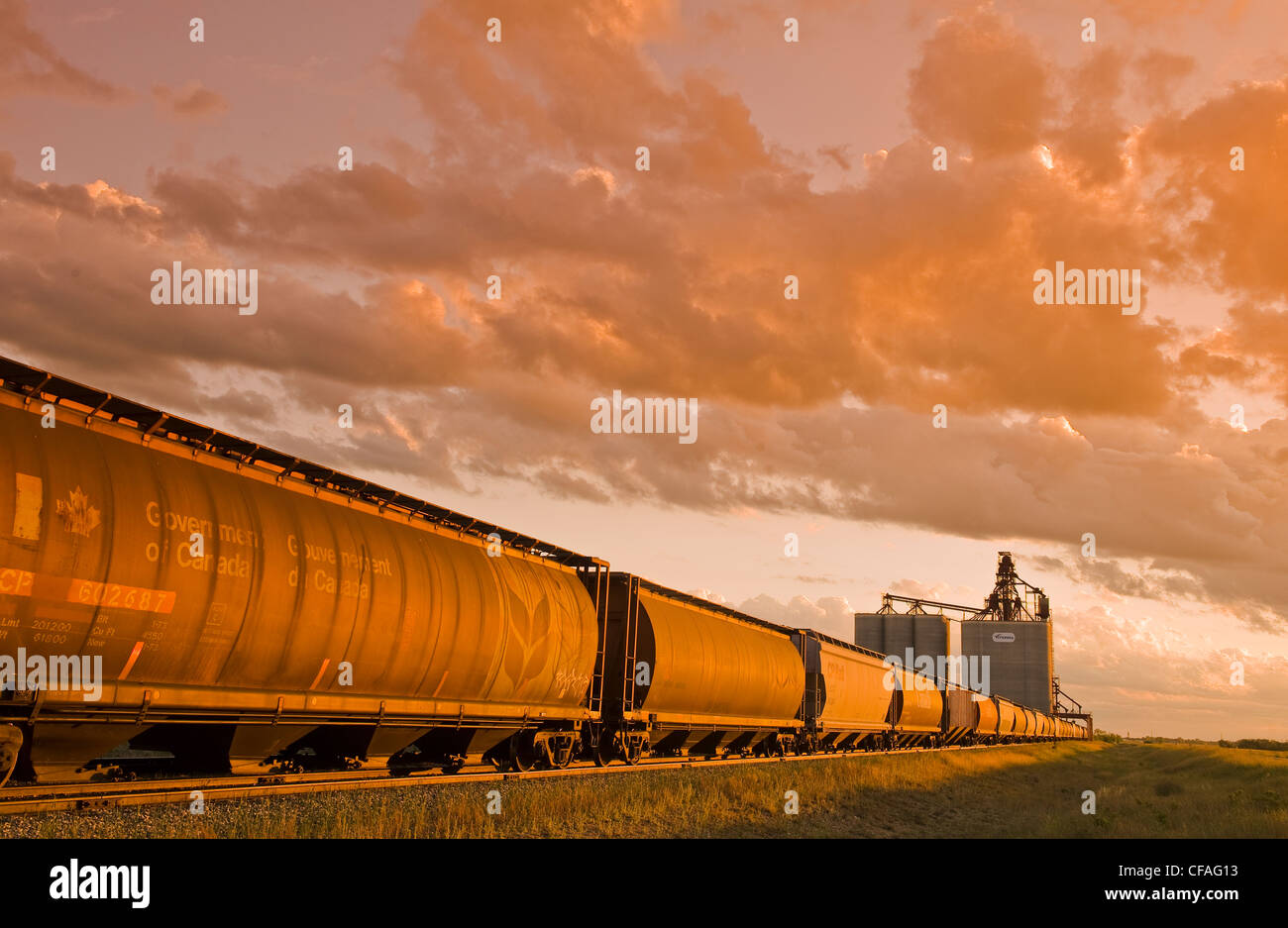 inland grain terminal with rail hopper cars in the foreground, near