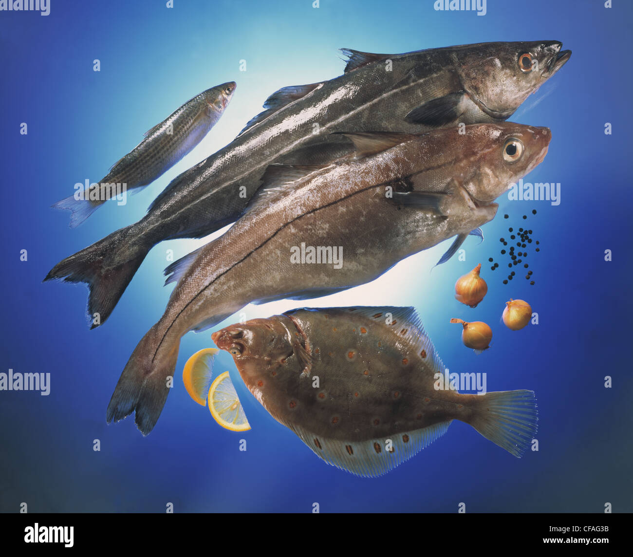 Still Herring, codfish, haddock, plaice Stock Photo Alamy