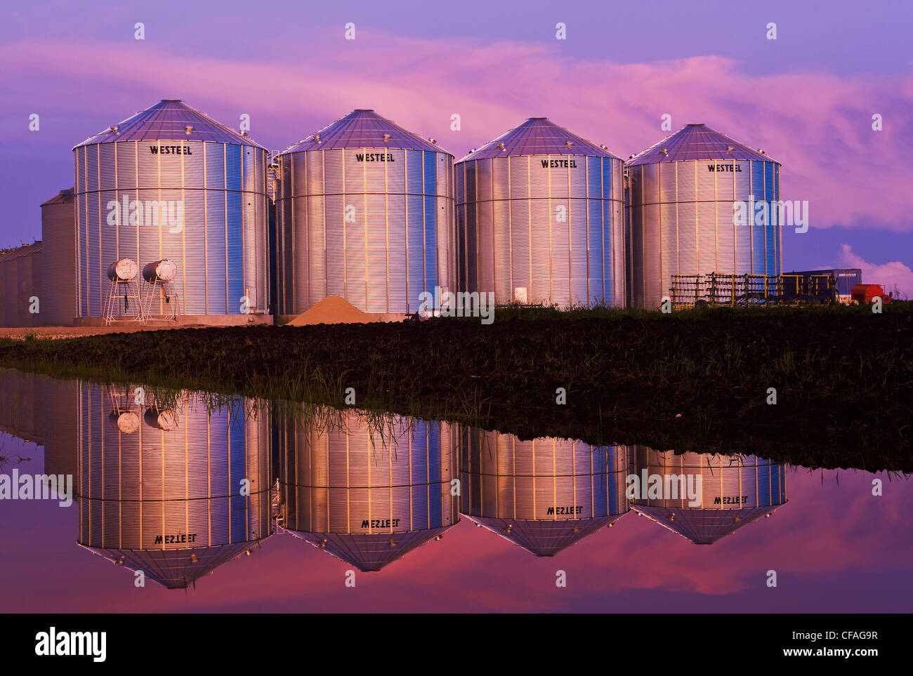 grain storage bins, near Lorette, Manitoba, Canada Stock Photo
