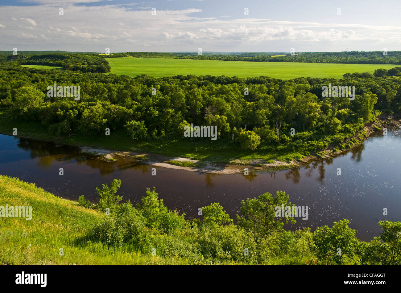 Souris River Valley showing the Souris River and farmland in the