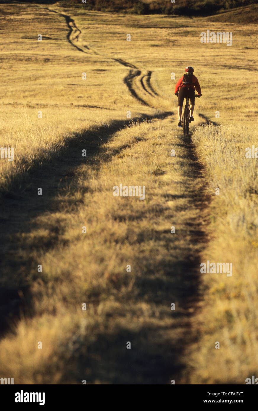 double track trail