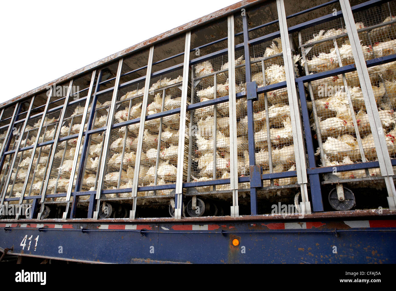 Chicken Poultry Truck High Resolution Stock Photography and Images Alamy