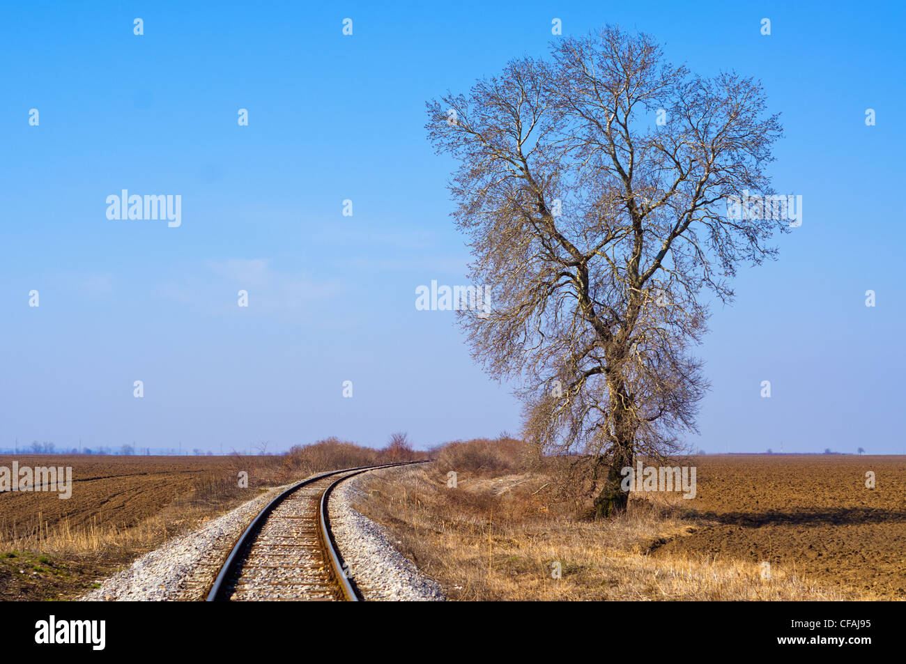 Single tree by the railway Stock Photo - Alamy