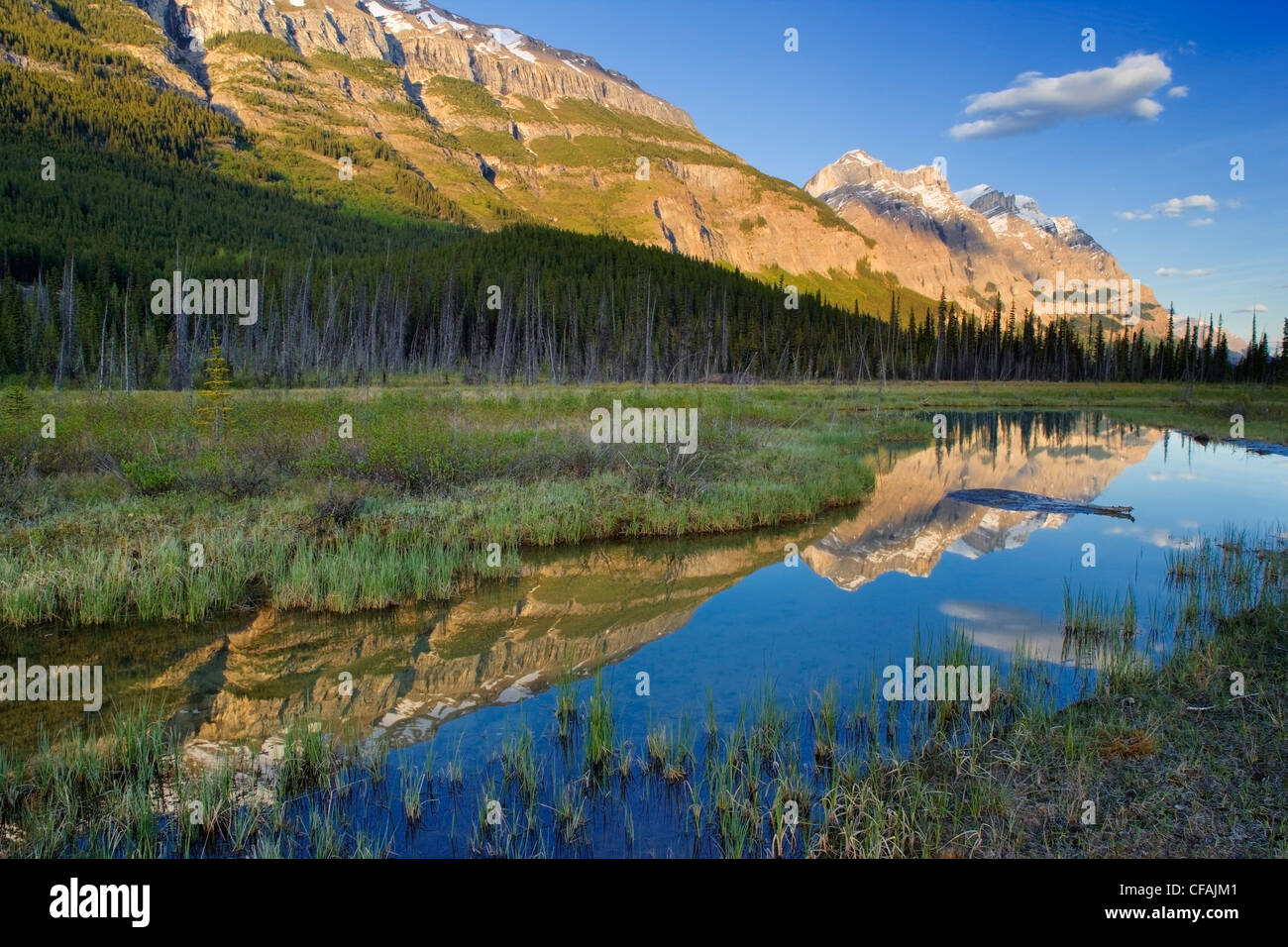 Mount Wilson at Graveyard Flats, Banff National Park, Alberta, Canada
