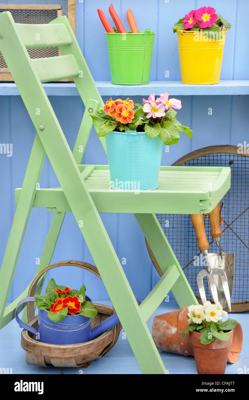 Rustic springtime garden scene with garden chair, Primroses in terracotta pots and colourful buckets on blue shelf. Stock Photo