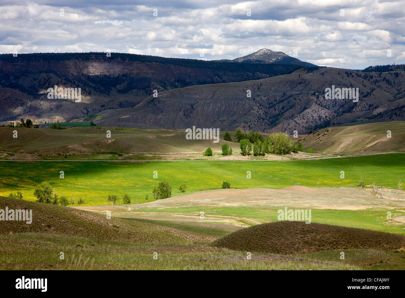 The historic Gang Ranch in British Columbia, Canada Stock Photo Alamy