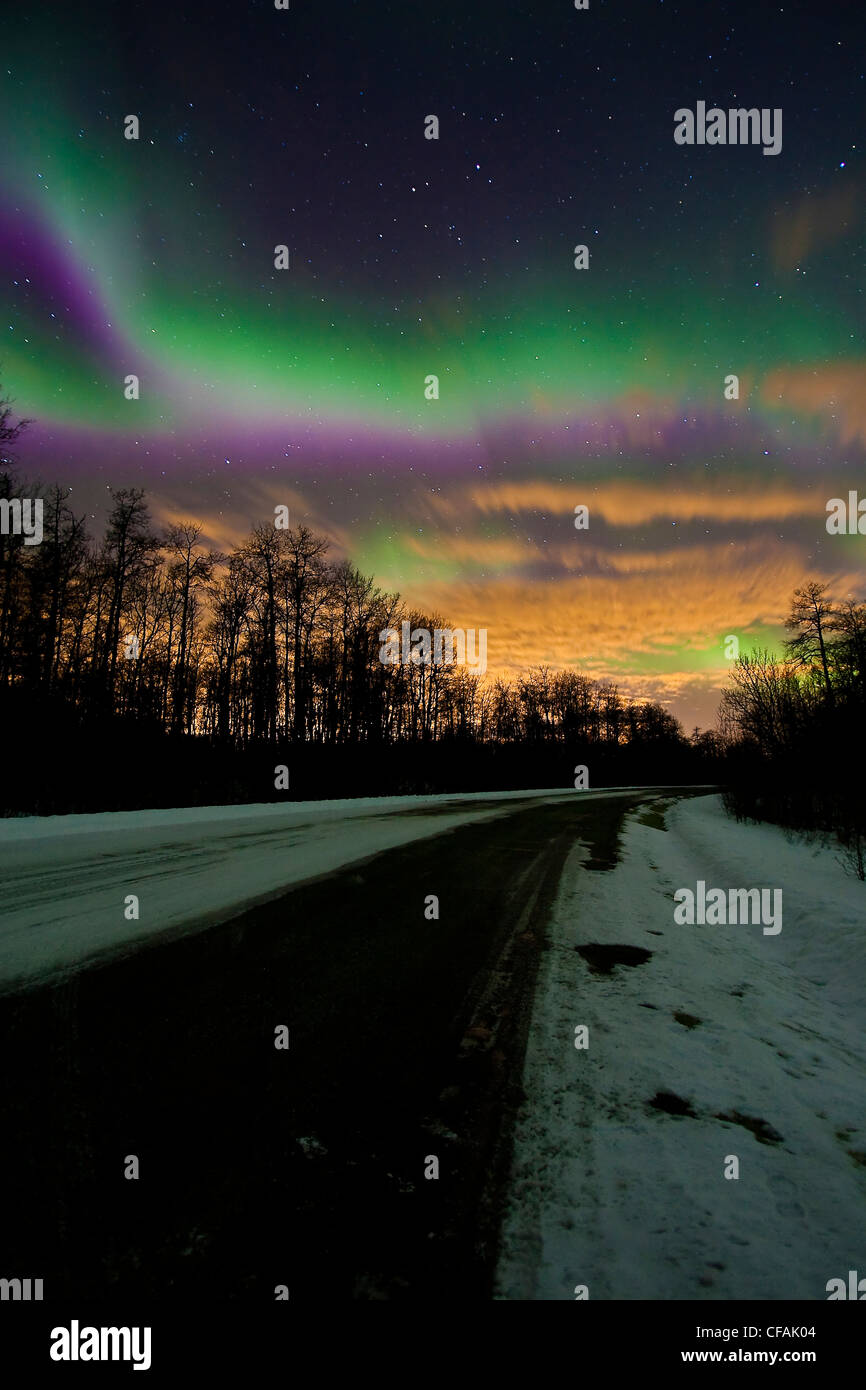 Aurora borealis (northern lights) curtains of light on road in winter in Elk Island National Park, Alberta, Canada. Stock Photo