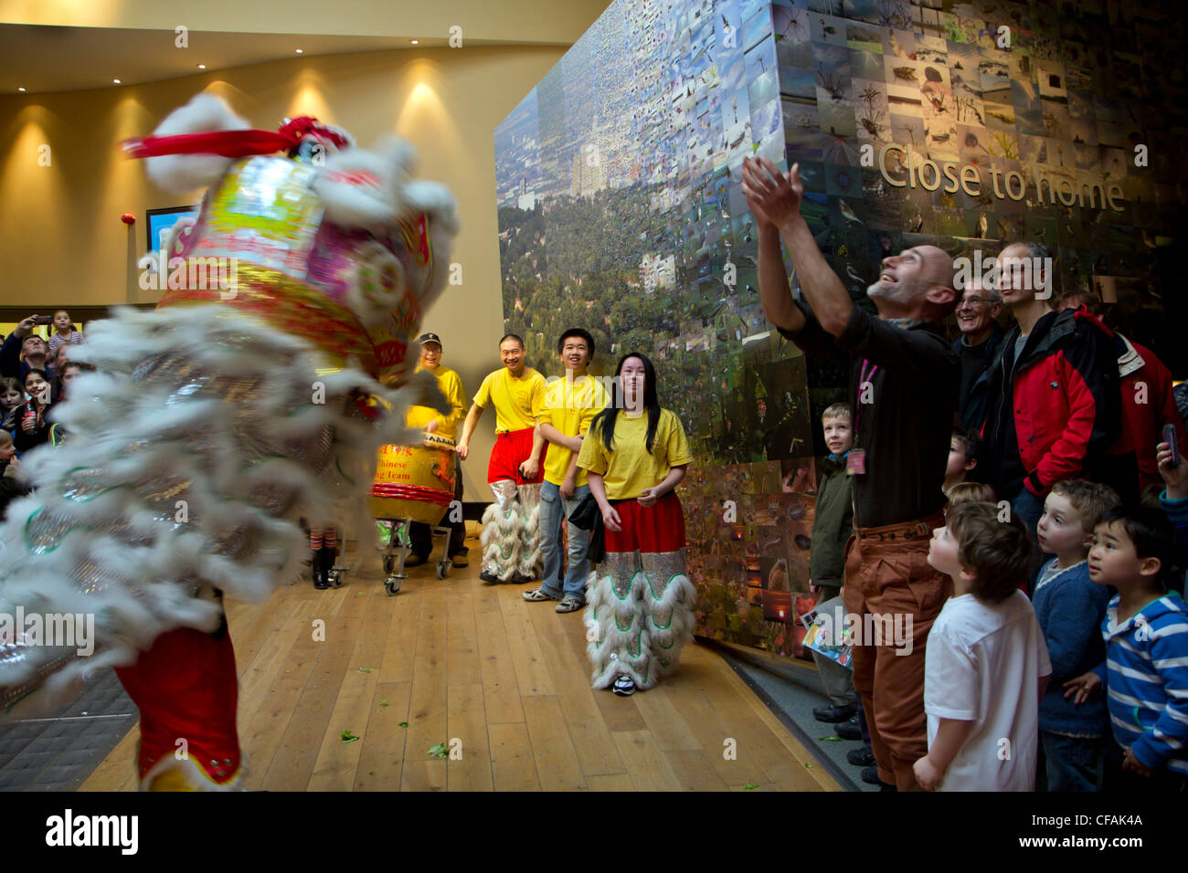 Chinese people perform Dragon dance to celebrate Chinese New Year ...