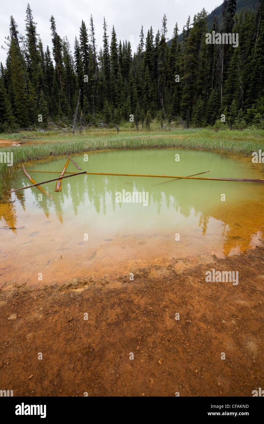 Paint Pots, Kootenay National Park, British Columbia, Canada the