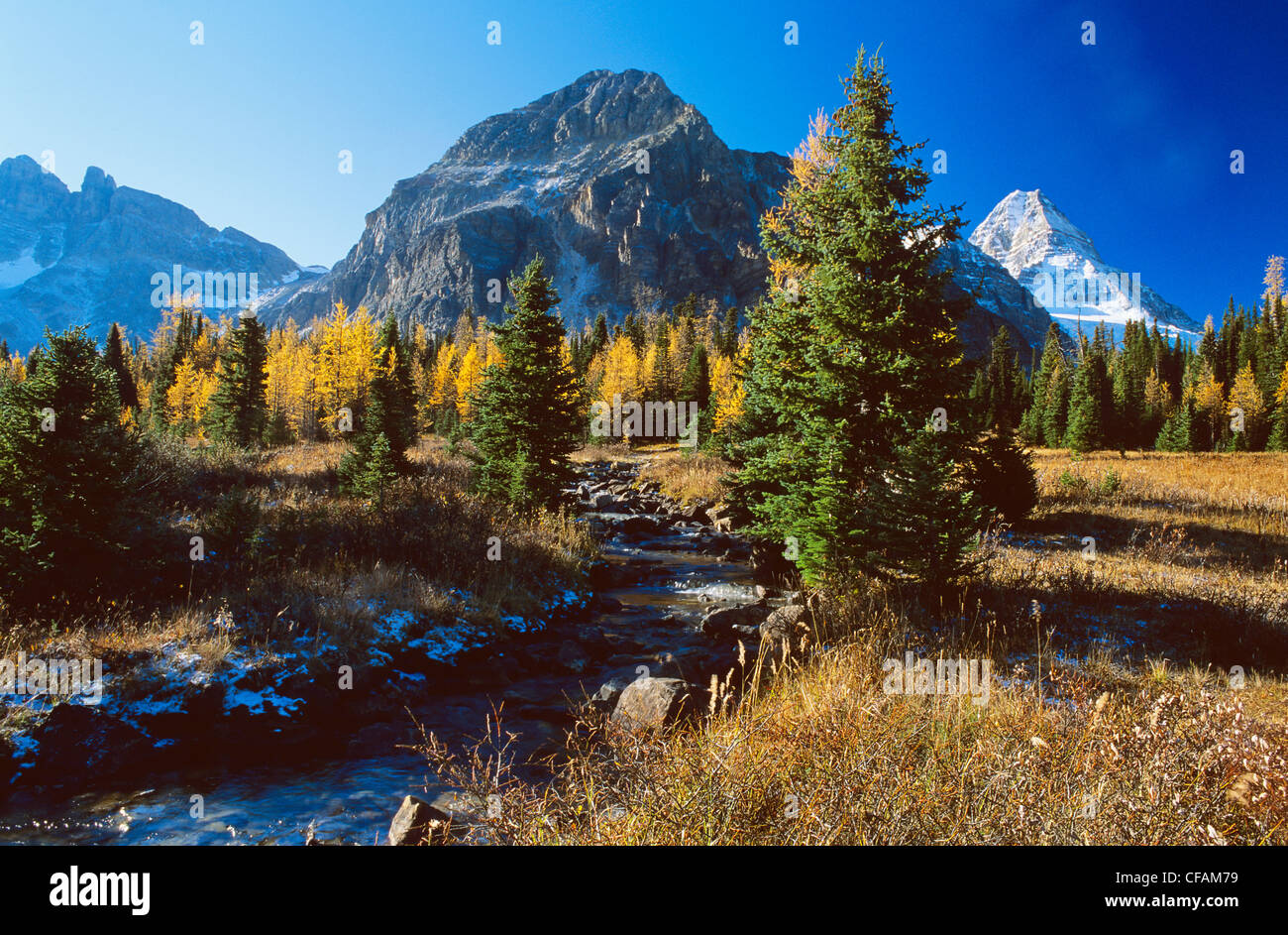 Mount Assiniboine Provincial Park in Fall, British Columbia, Canada. Stock Photo