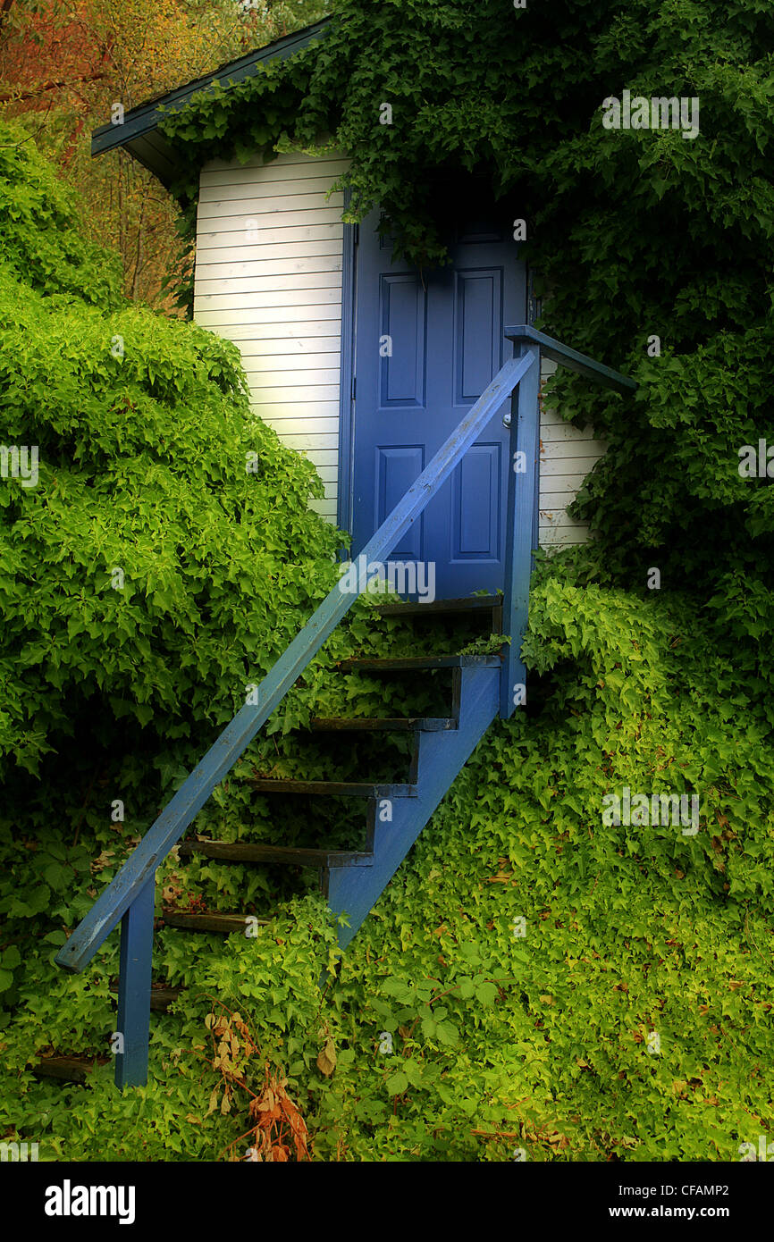 A Small Ivy Covered Cottage In Secret Cove A Remote Destination