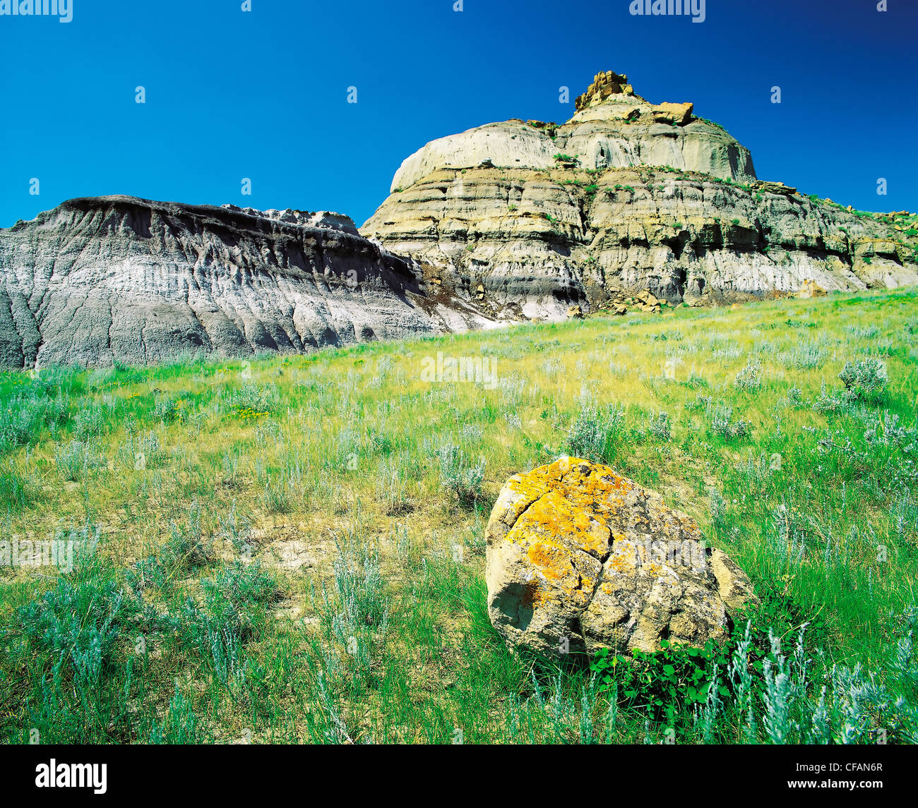 Field and rock landscape of Big Muddy Badlands, Saskatchewan, Canada Stock Photo