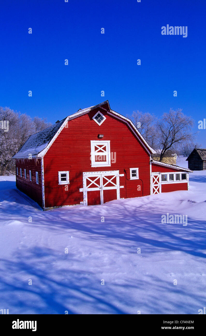 Red barn in winter near Oakbank, Manitoba, Canada Stock Photo