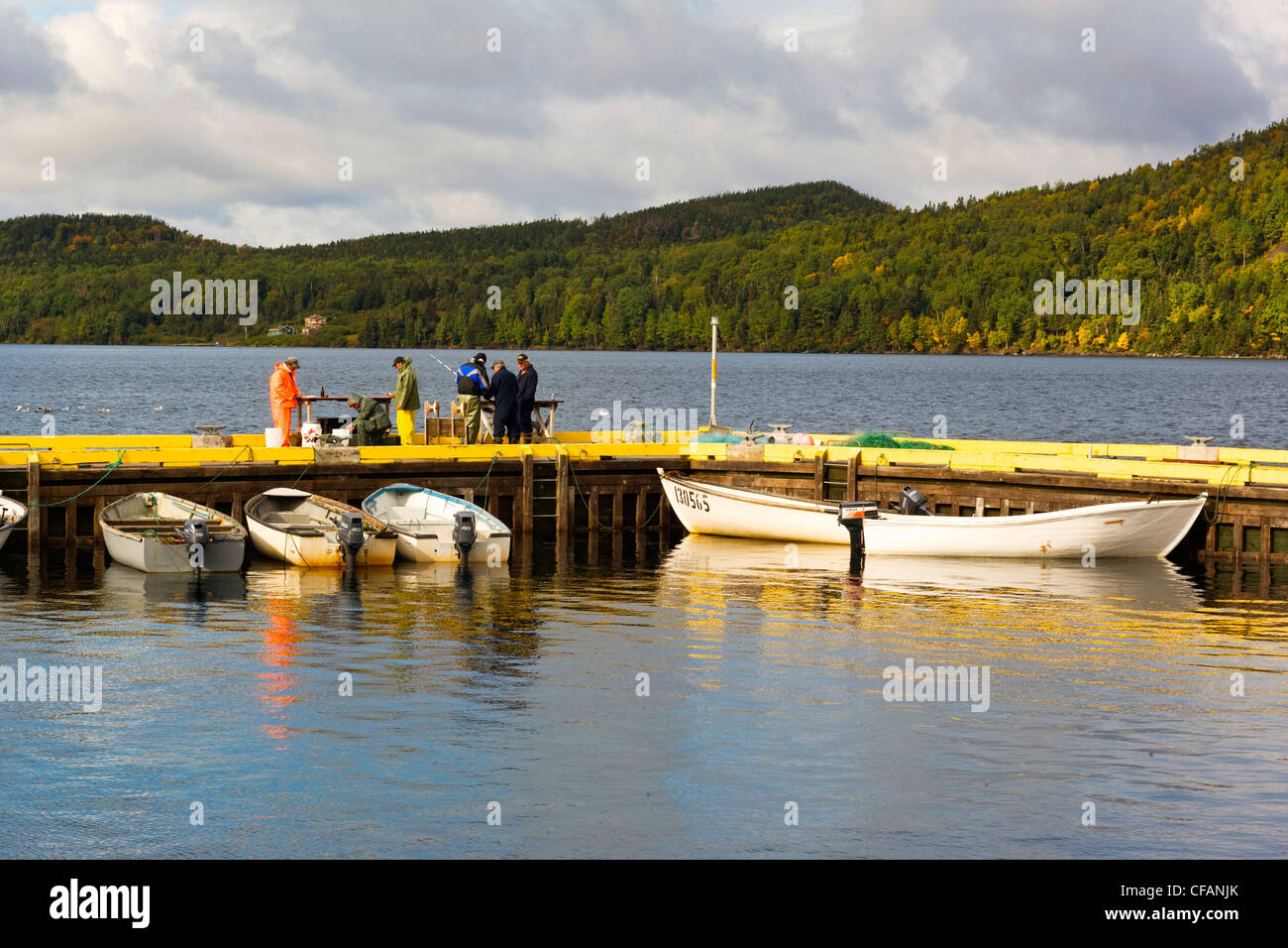 Cleaning fish hires stock photography and images Alamy