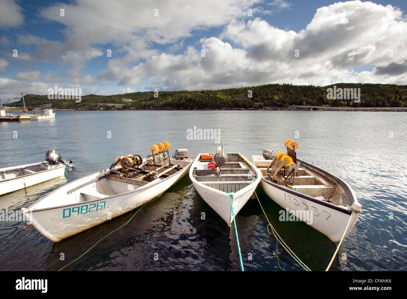 Boats tied up in Plate West Cove, Newfoundland and Labrador, Canada. Stock Photo