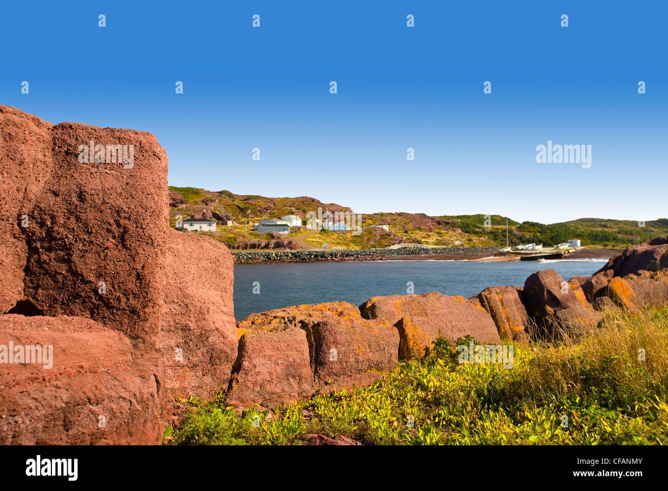 Newfoundland tickle hires stock photography and images Alamy