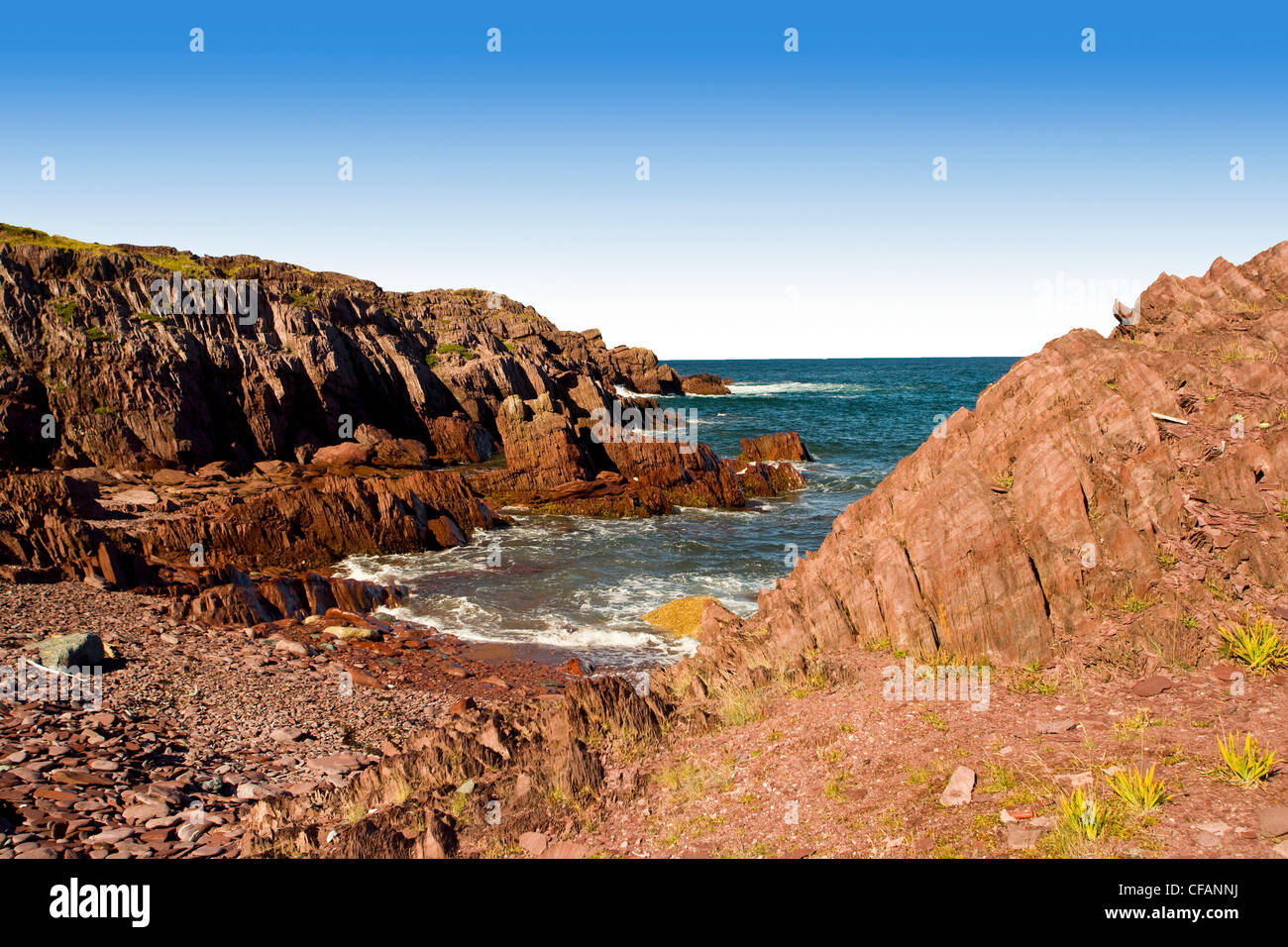 Tickle cove hires stock photography and images Alamy