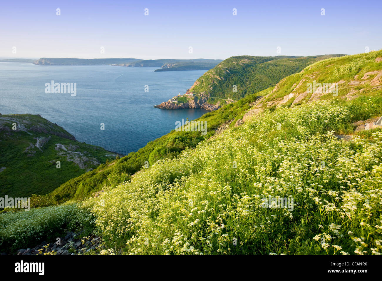 View from Signal Hill National Historic Site, St. John's, Newfoundland