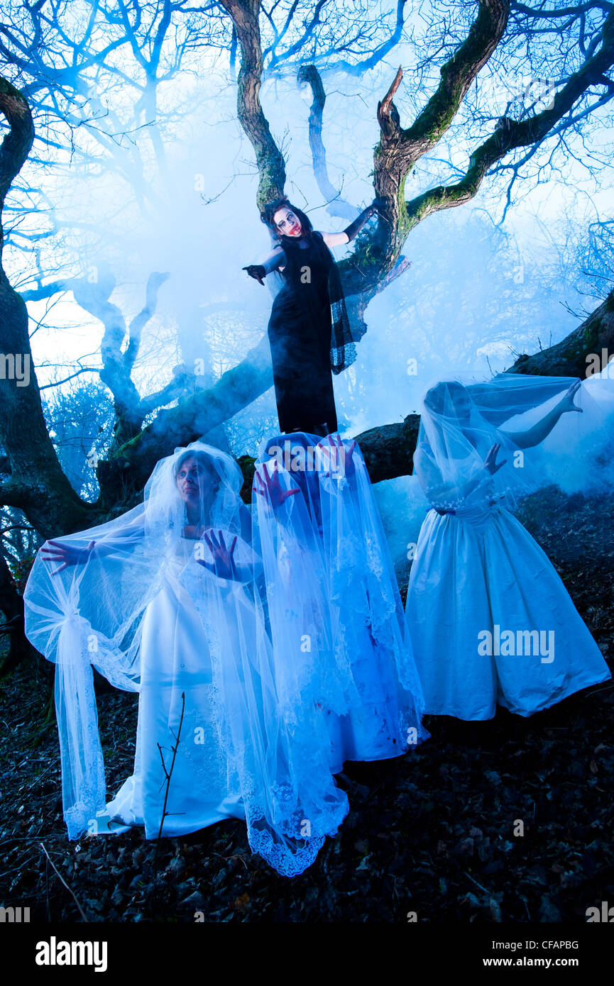 young women taking part in a Zombie bride 'trash the wedding dress' in a spooky weird woods forest tree trees Stock Photo