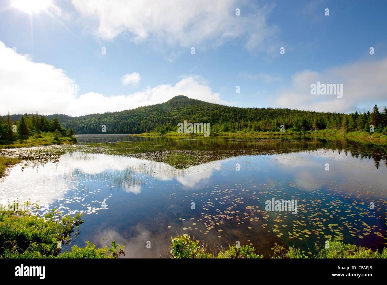 Pond in spring time near Colbert's Cove, Newfoundland and Labrador, Canada. Stock Photo