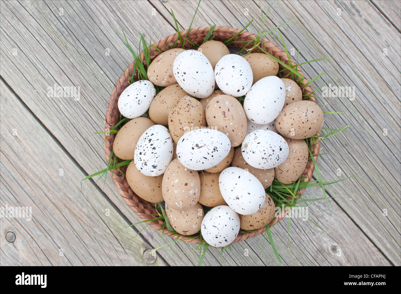 Speckled eggs inside a basket with strands of grass Stock Photo