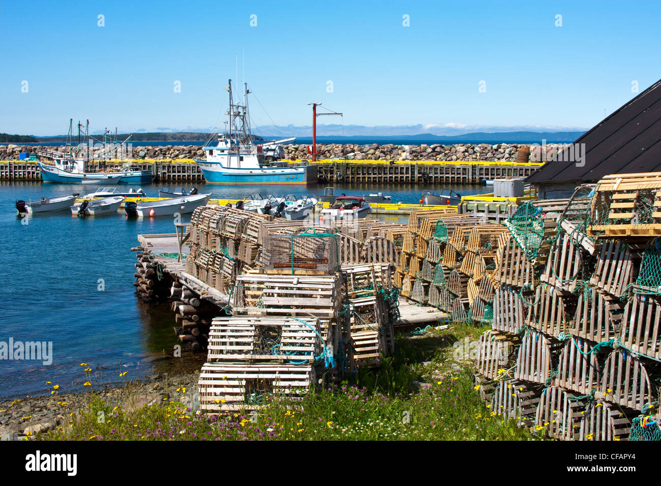 Lobster traps stacked on the wharf at Green Harbour, Newfoundland and