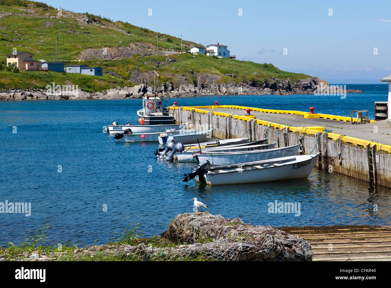 Fishing boats tied up at the wharf in Winterton, Newfoundland and Labrador, Canada. Stock Photo
