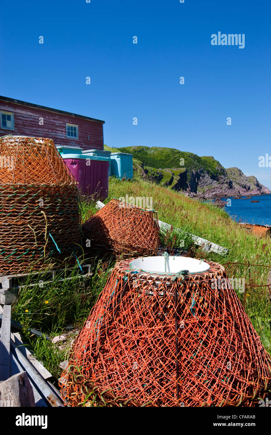 Crab traps, Red Head Cove, Newfoundland and Labrador, Canada Stock