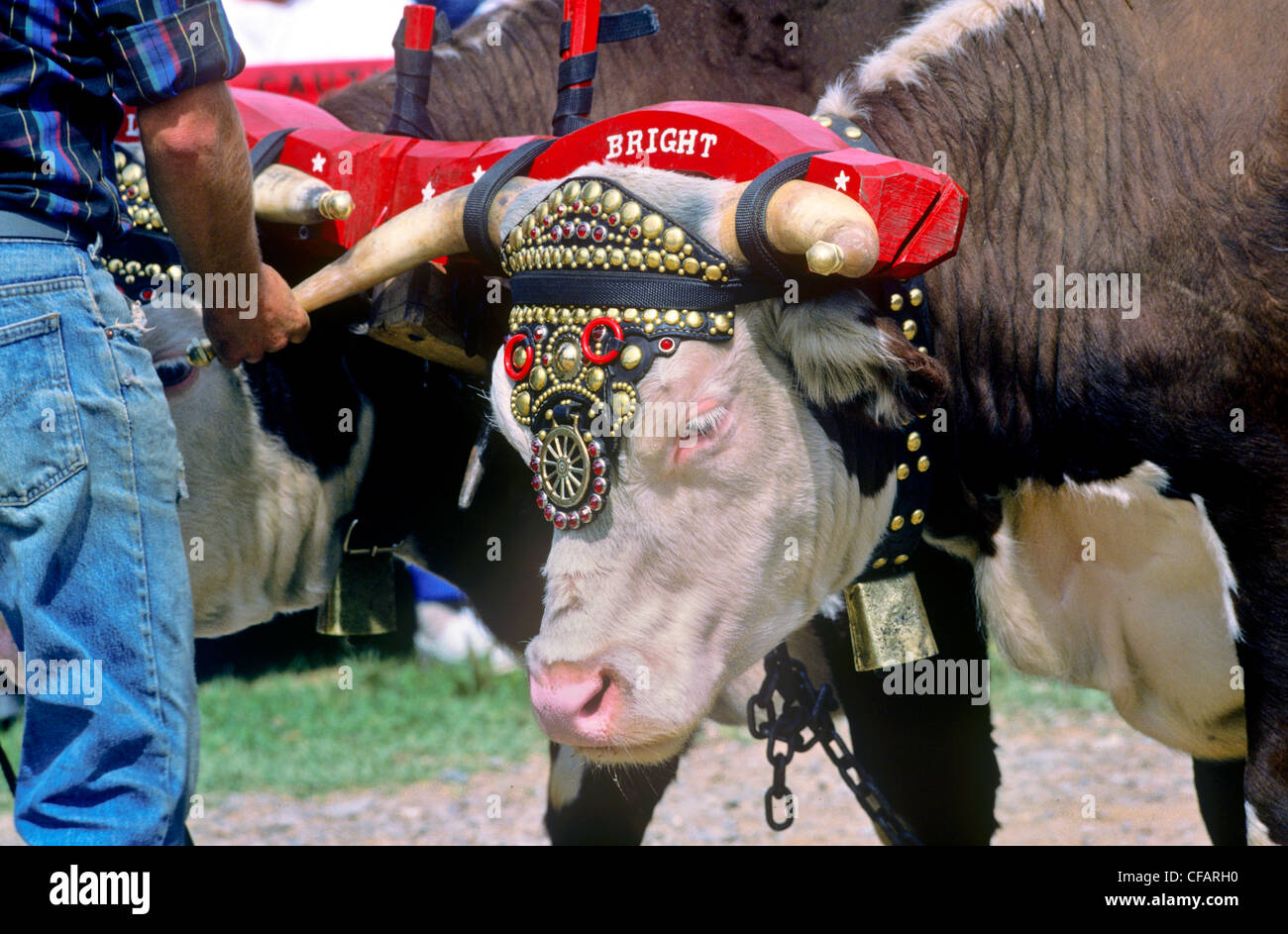 Berwick county fair hires stock photography and images Alamy