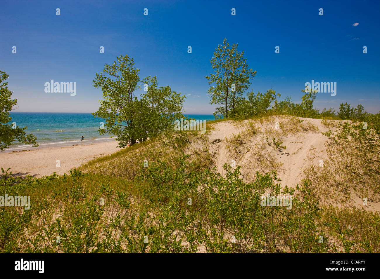 Sandy beach of Lake Ontario in Sandbanks Provincial Park, Prince Edward