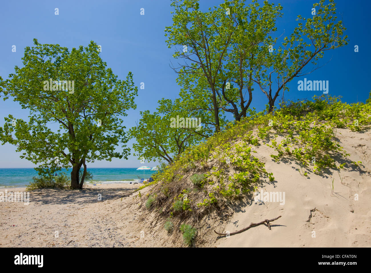 Sandy beach of Lake Ontario in Sandbanks Provincial Park, Prince Edward