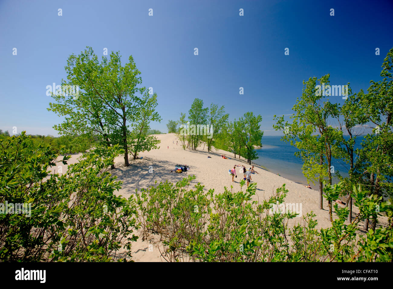 Sandy beach of Lake Ontario in Sandbanks Provincial Park, Prince Edward