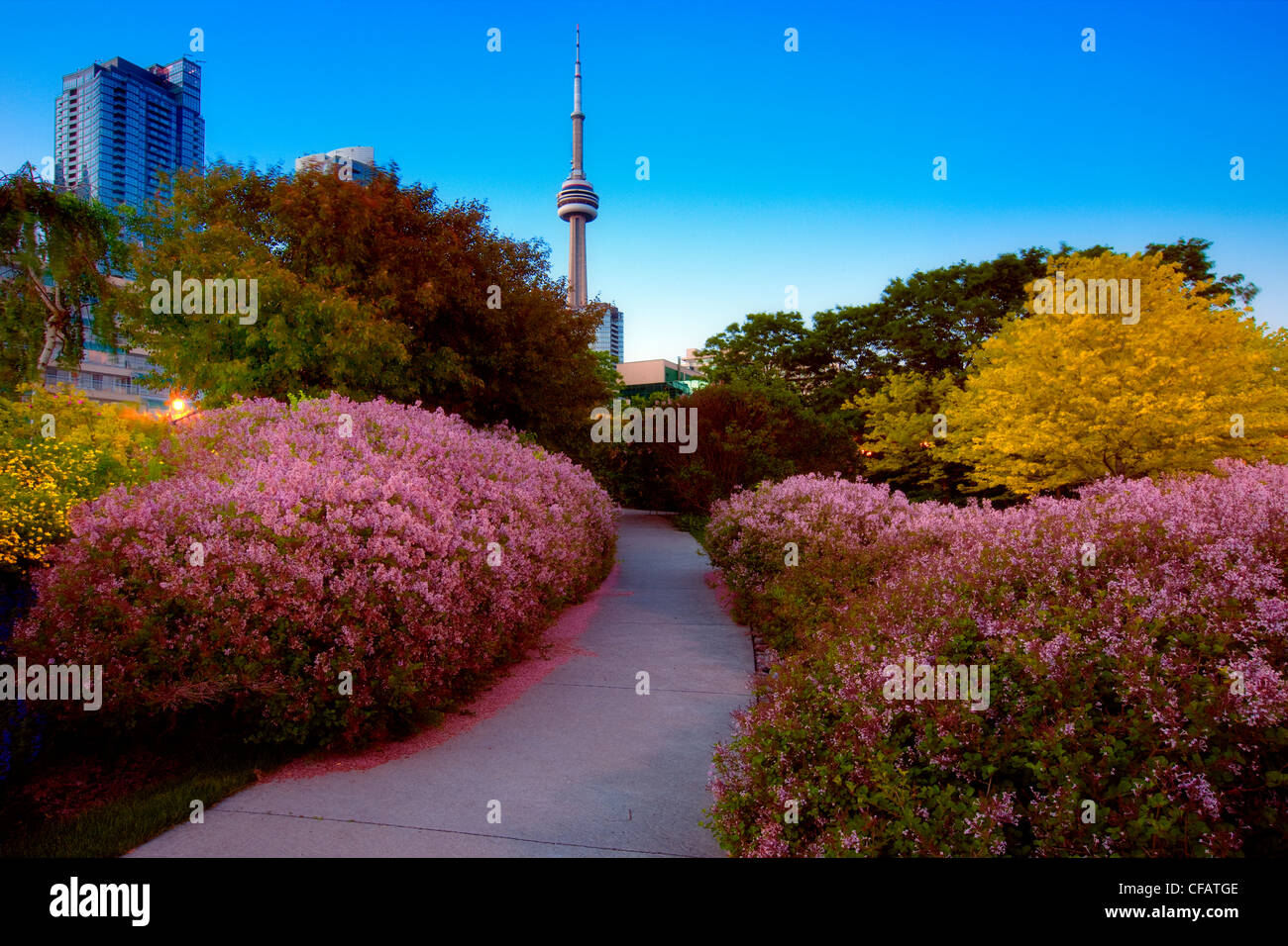 Toronto Music Garden Along The Waterfront With Cn Tower In The